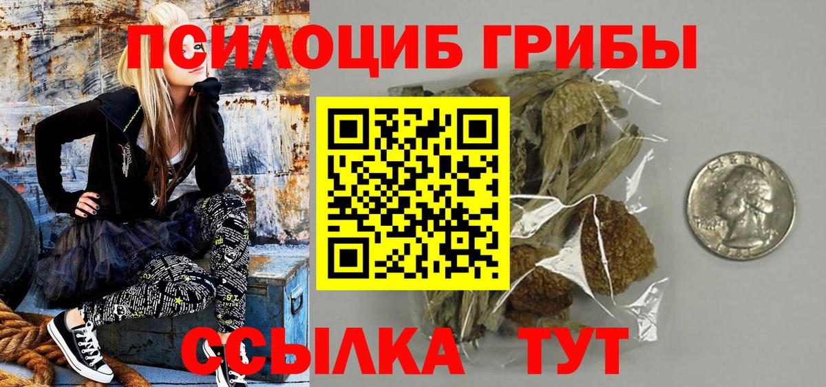 Галлюциногенные грибы мицелий Буйнакск