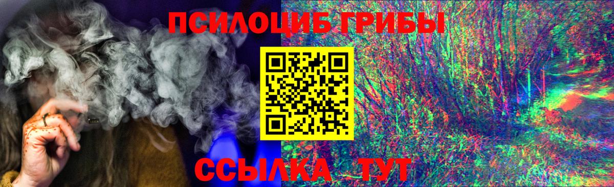 Буйнакск  что такое   Вход с VPN  Псилоцибиновые грибы MAGIC MUSHROOMS  Галлюциногенные грибы Psilocybe 